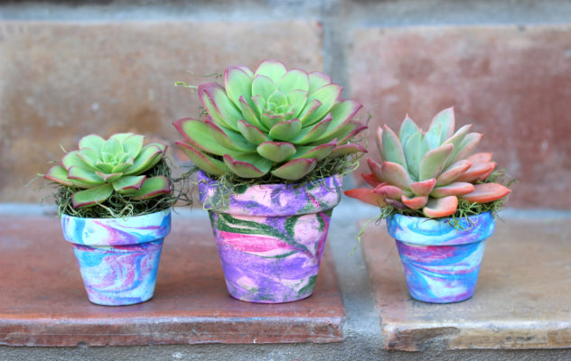 clay pots