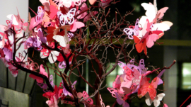 Butterfly Centerpieces