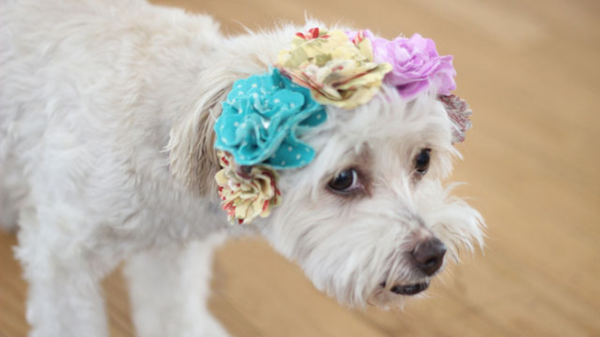 floral crown