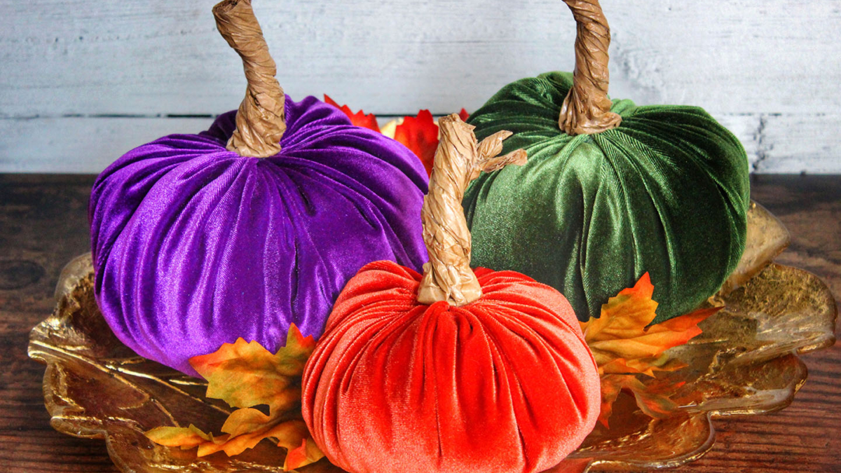 velvet pumpkins